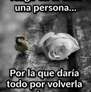 Meet your Posher, Abel